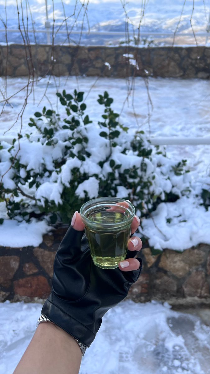 ال سبـيعي🦌 . tweet media