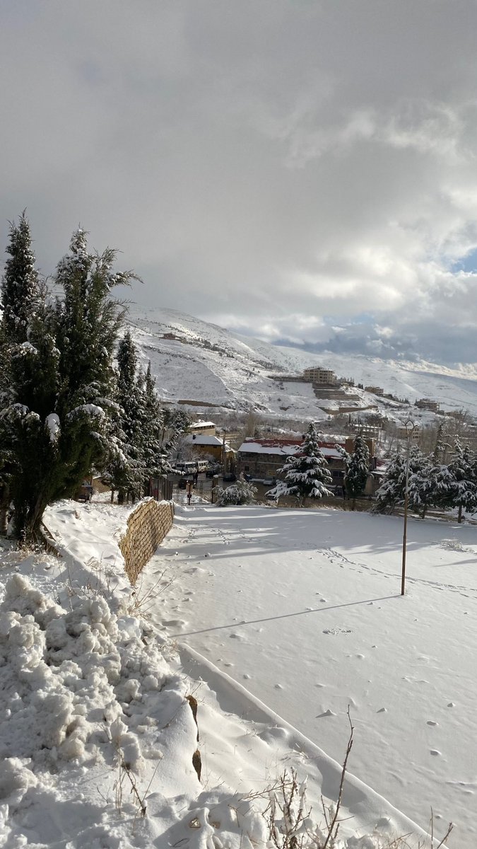 ال سبـيعي🦌 . tweet media