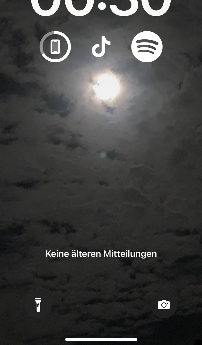 Jestermaxxing℮ ❅ tweet media