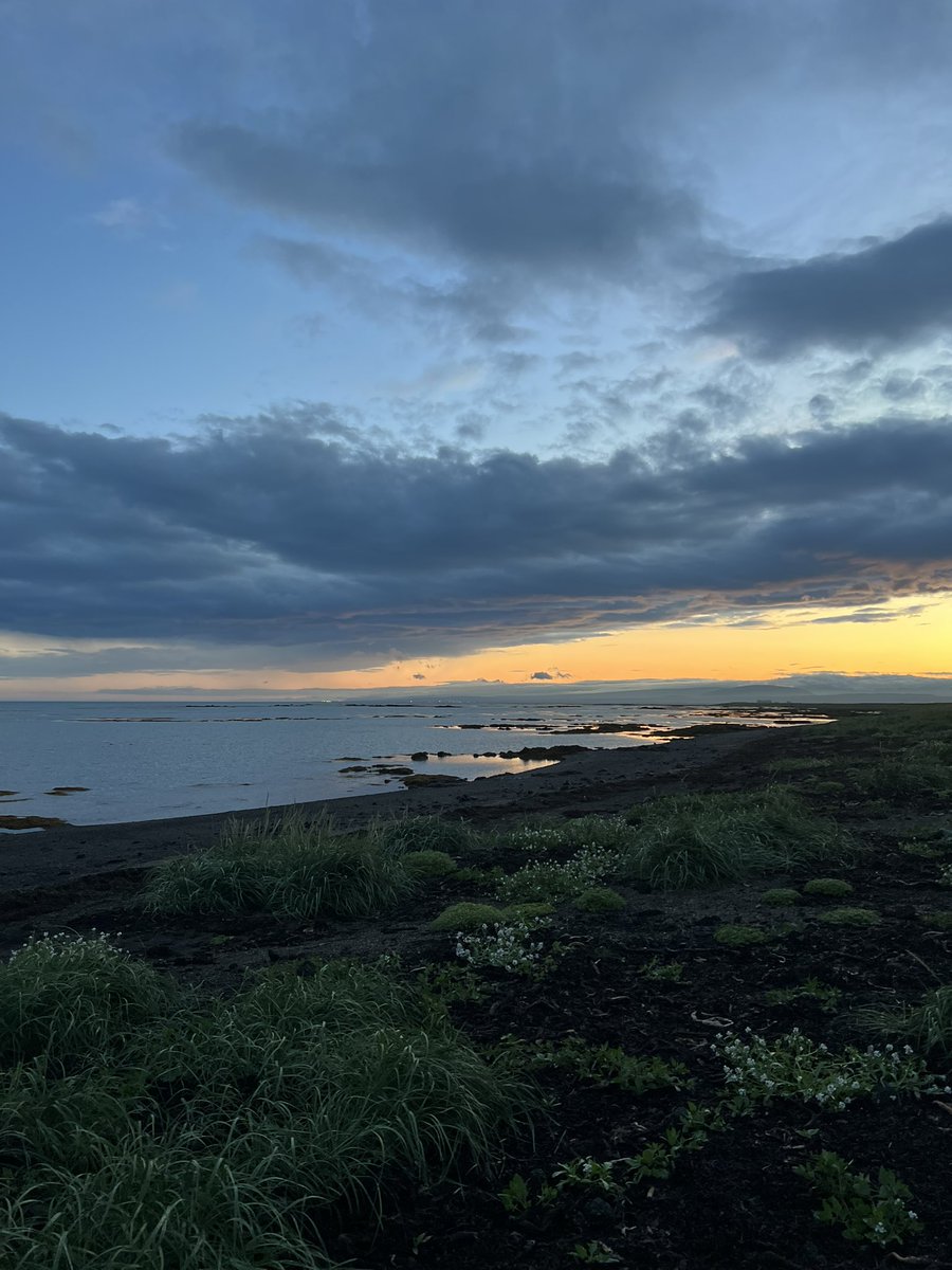 AsianJenner's tweet image. iceland :))