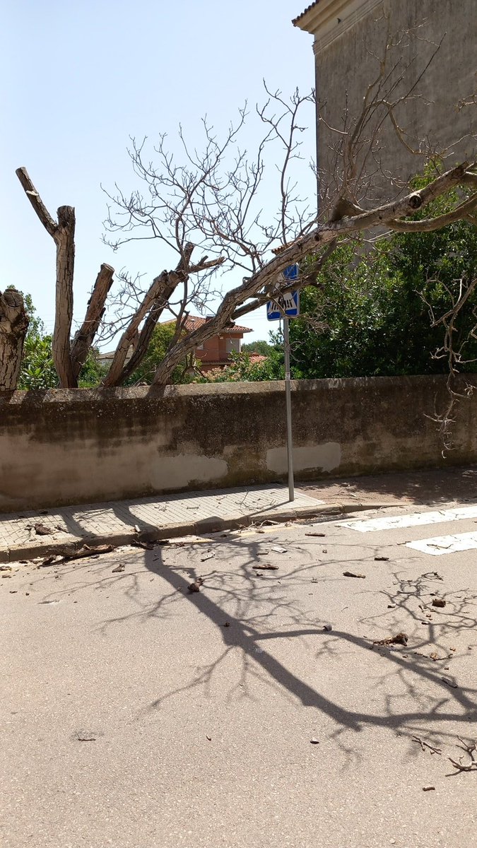 Dissabte vàrem estar de reten per Campanya Forestal i vàrem sortir a un parell de serveis.
✅️ accident de trànsit a l'Ap7
✅️ arbre caigut a via pública a Sant Antoni 

Recordeu no fer foc a menys de 500m del bosc.
En cas d'emergència truqueu sempre al 
☎️1️⃣1️⃣2️⃣