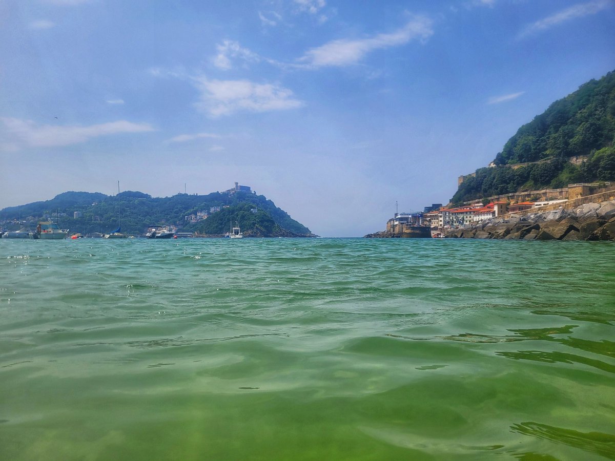 BarefootEm Swims tweet media