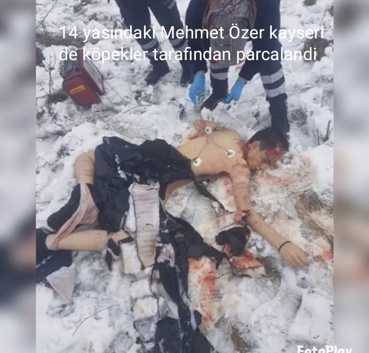 htcbozdemir's tweet photo. O elinizde ki kan, kopeklere parçalattığınız çocuklara mı ait?

Listede ki hangi çocuğun kanı o?
#MilletYasayaEvetDiyor🇹🇷 #YasayaEVETdiyoruz https://t.co/zaUor5RSMC