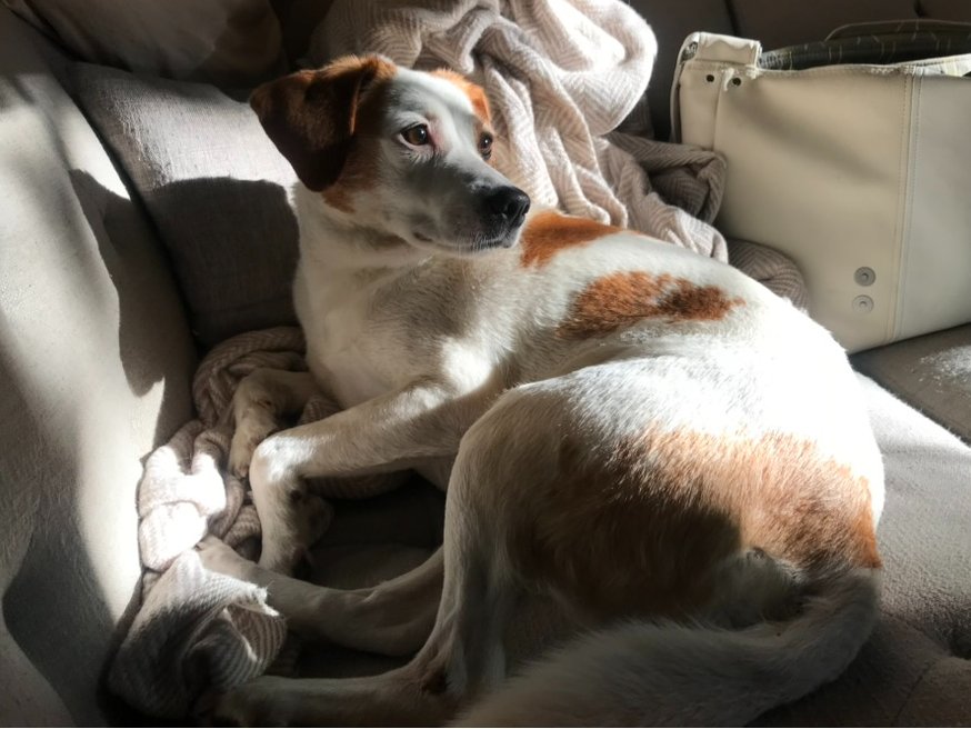 Michelle Orange tweet media