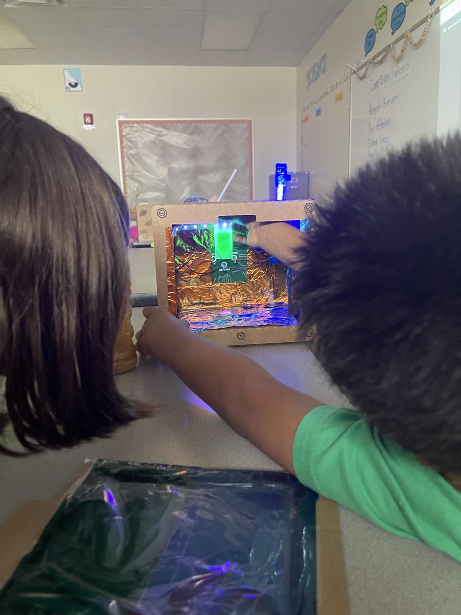 Amna Syed tweet media