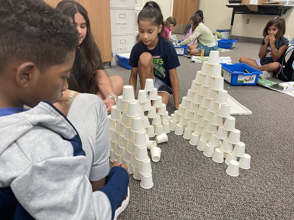 Amna Syed tweet media