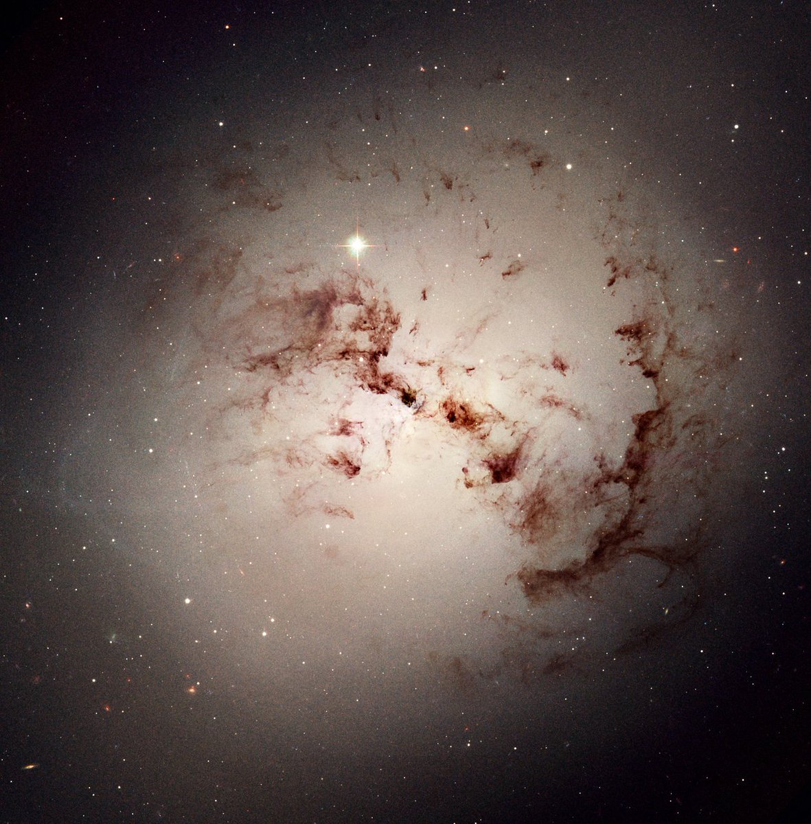 AdAstrum24's tweet photo. En la galaxia elíptica gigante NGC 1316 se esconden bucles y manchas de polvo cósmico sorprendentemente complejos. La imagen revela los carriles de polvo y los cúmulos estelares de esta galaxia gigante. (Crédito NASA) #AMDG https://t.co/oJmkapm773
