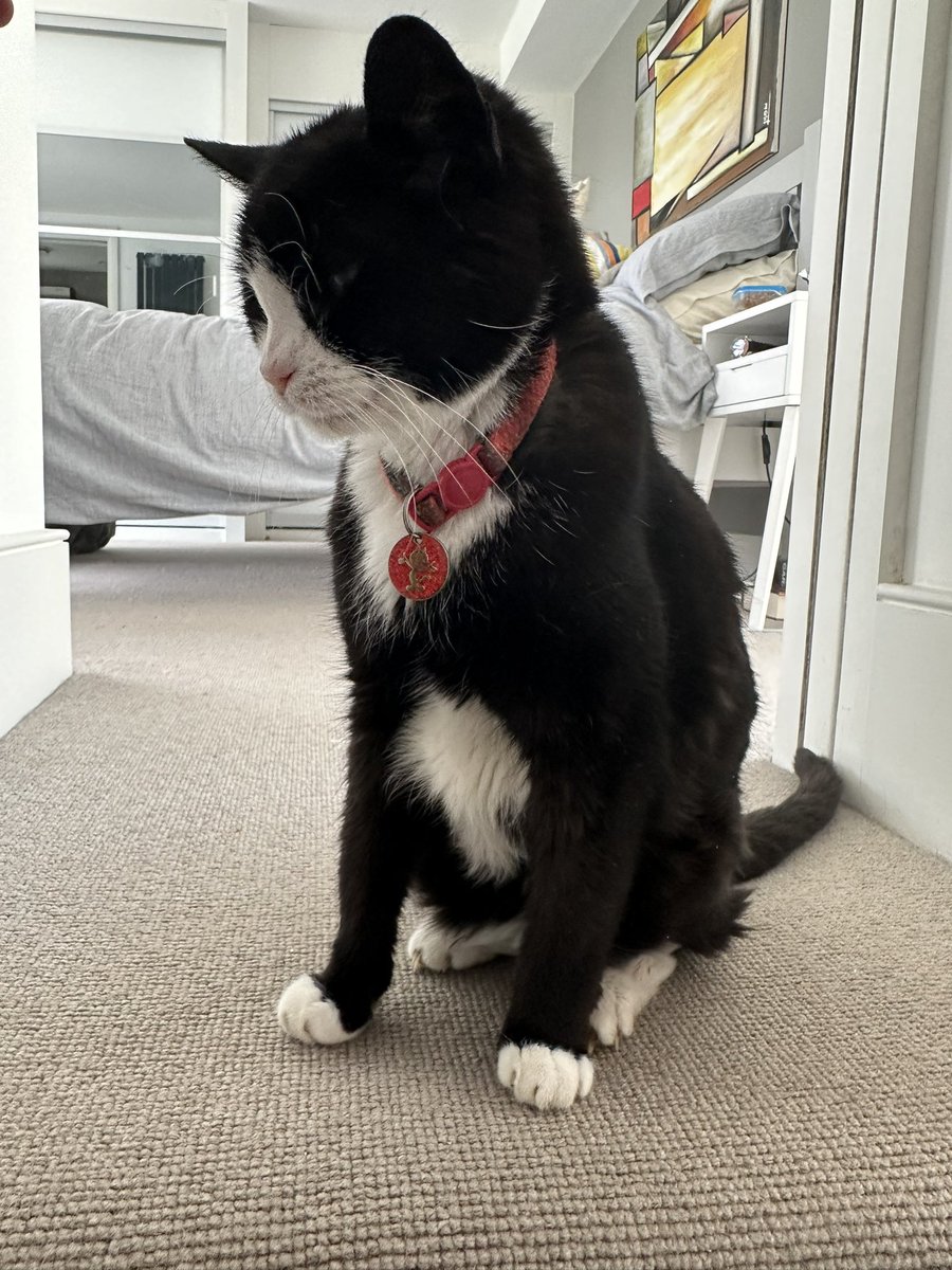 Paul Modley tweet media