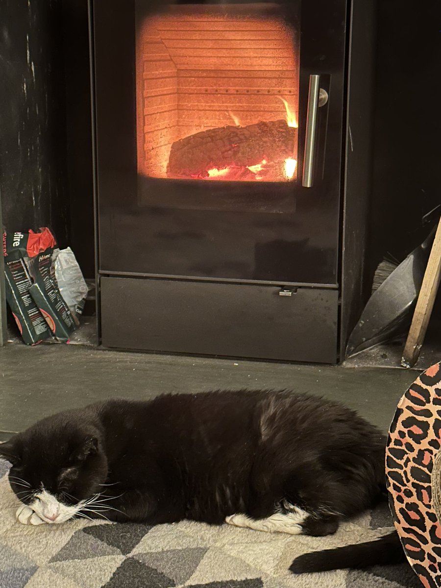 Paul Modley tweet media