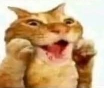 ᅠᅠᅠpeach.⠀ hoy es día de limpieza