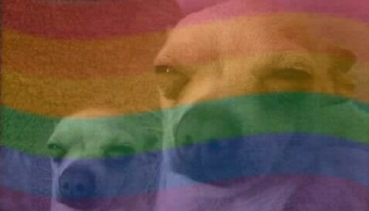BoyCope_'s tweet photo. BBN, this year is super suspicious?
Gay?
Lesbianism?
Incest? 

#BBNaija #BBNaijaXAquafina https://t.co/YCmodiXx7O