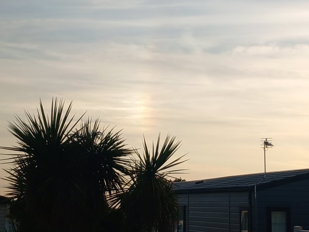 And a sun dog about the palm trees.