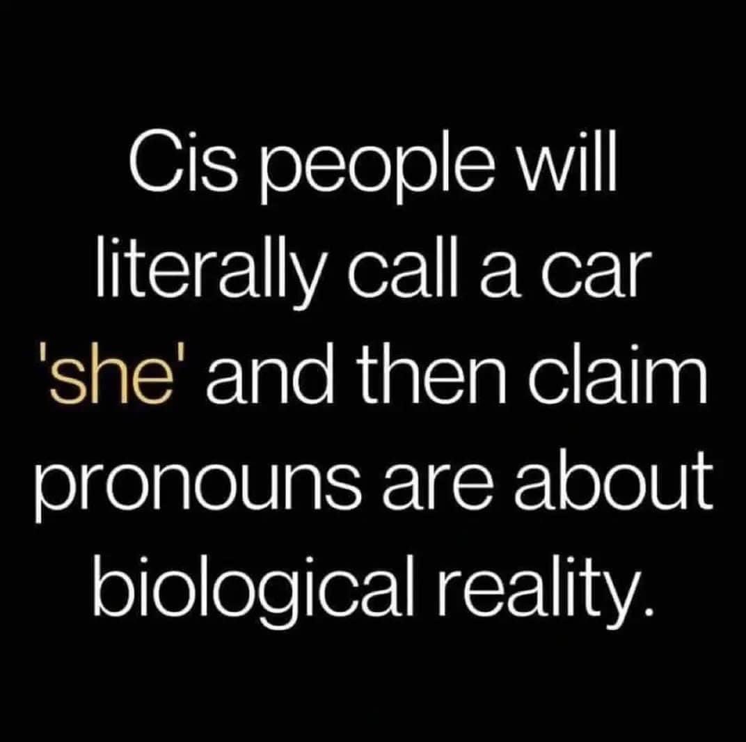 ^•¥•^ tigrez 🌻 (@tigrez) on Twitter photo 