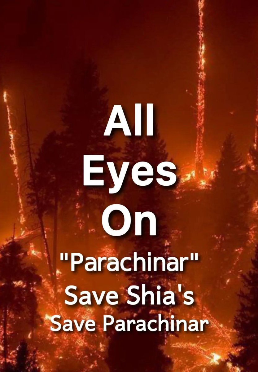 SZainabHuda's tweet photo. Shias of Parachinar are in devastated condition, their graveyards have left with no space, if still you can't raise your voice for them, then your apathy will be remembered.

#Parachinar https://t.co/pmFarlktuD