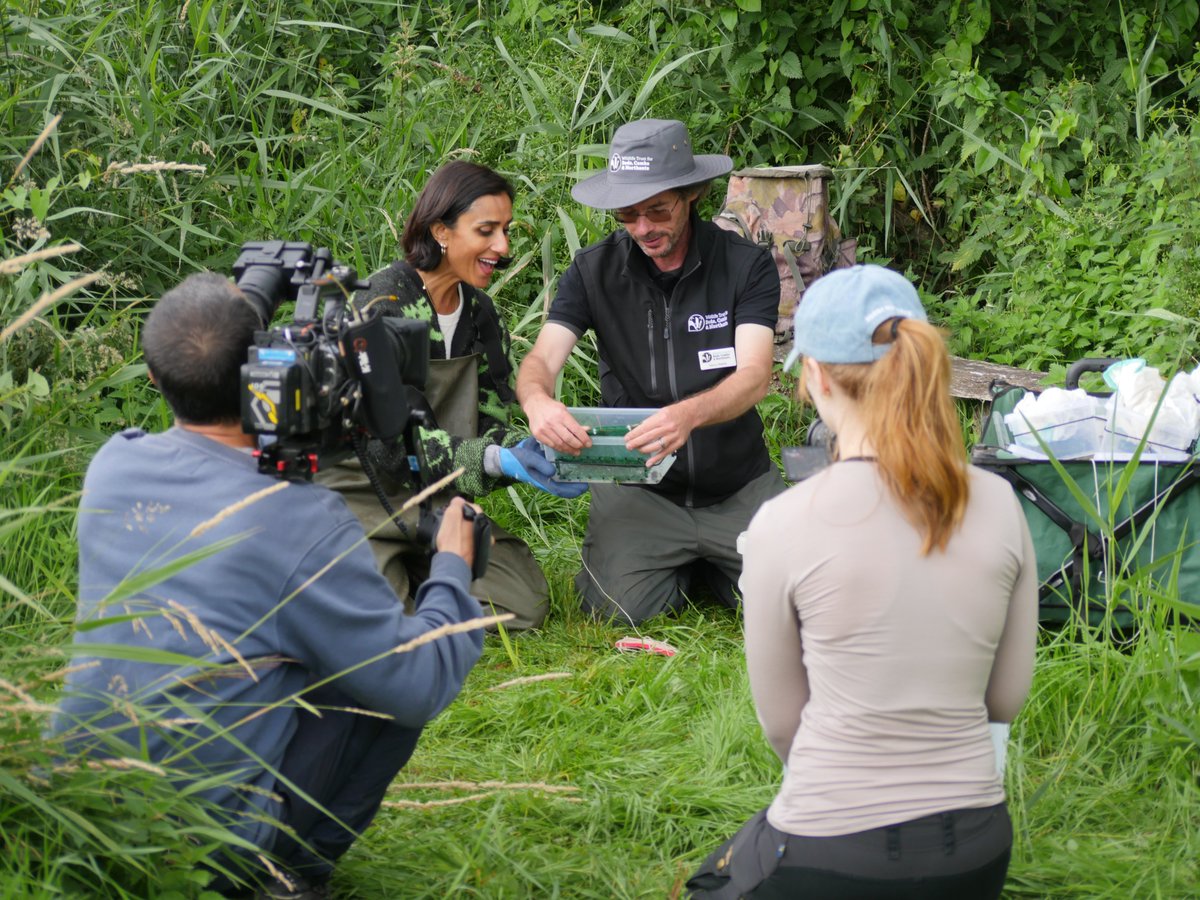 Great Fen tweet media