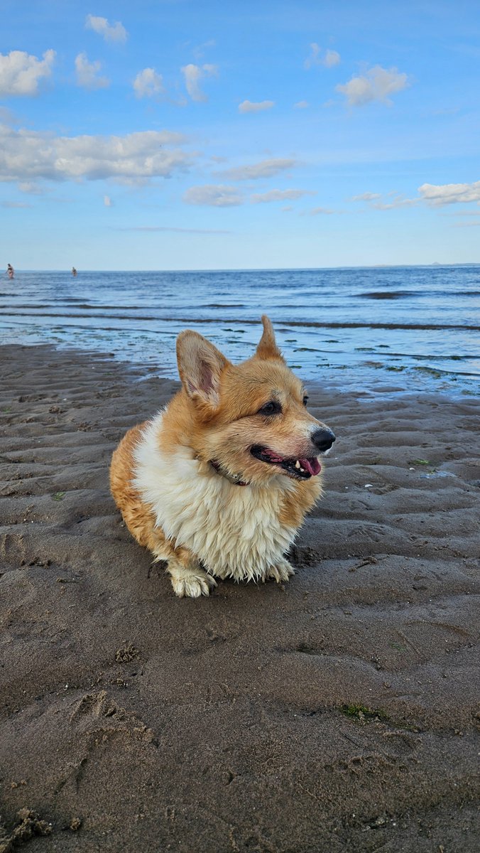 Well with carps tweet media