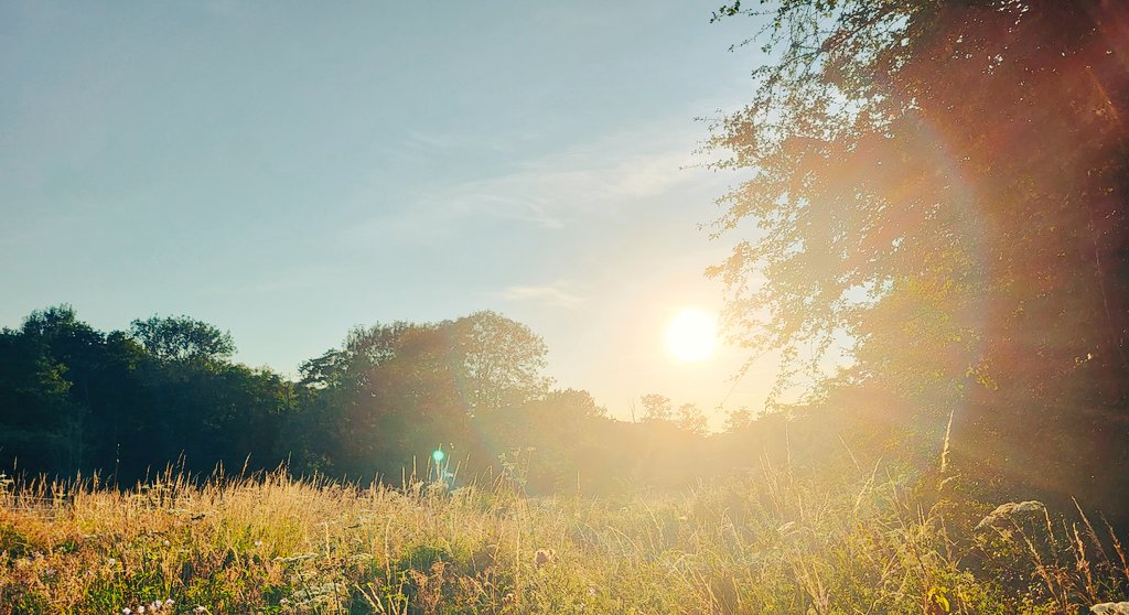 Sunset at Chesworth Farm tonight