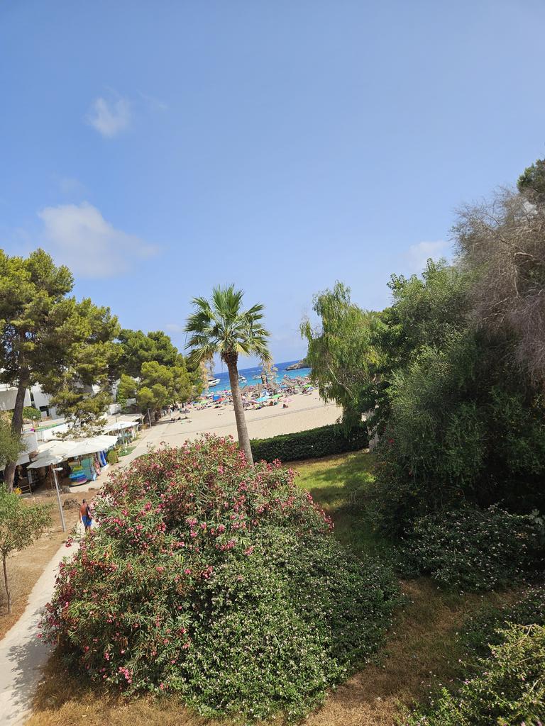 Such a lovely start to the summer holidays!