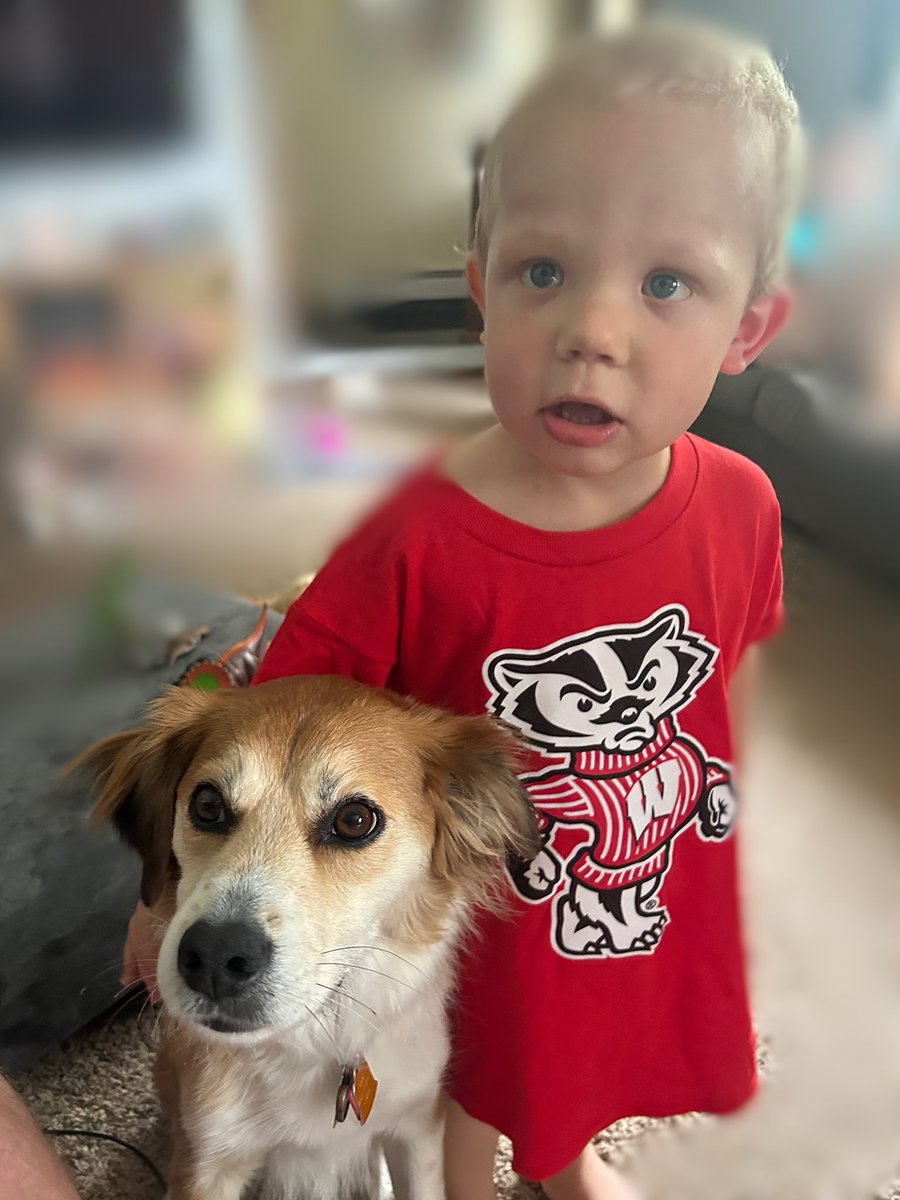 heindb44's tweet photo. Emmett has about one year left of treatment for Leukemia🎗️

3rd birthday on 9/9. September is childhood cancer awareness month. We are hosting a blood drive in central WI in honor of him. Goal is 99 donations! 

@JJWatt - help us spread the word: donate anywhere you can! 🩸 https://t.co/SS0w2tw4gV