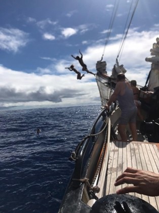 Andrew Clover tweet media