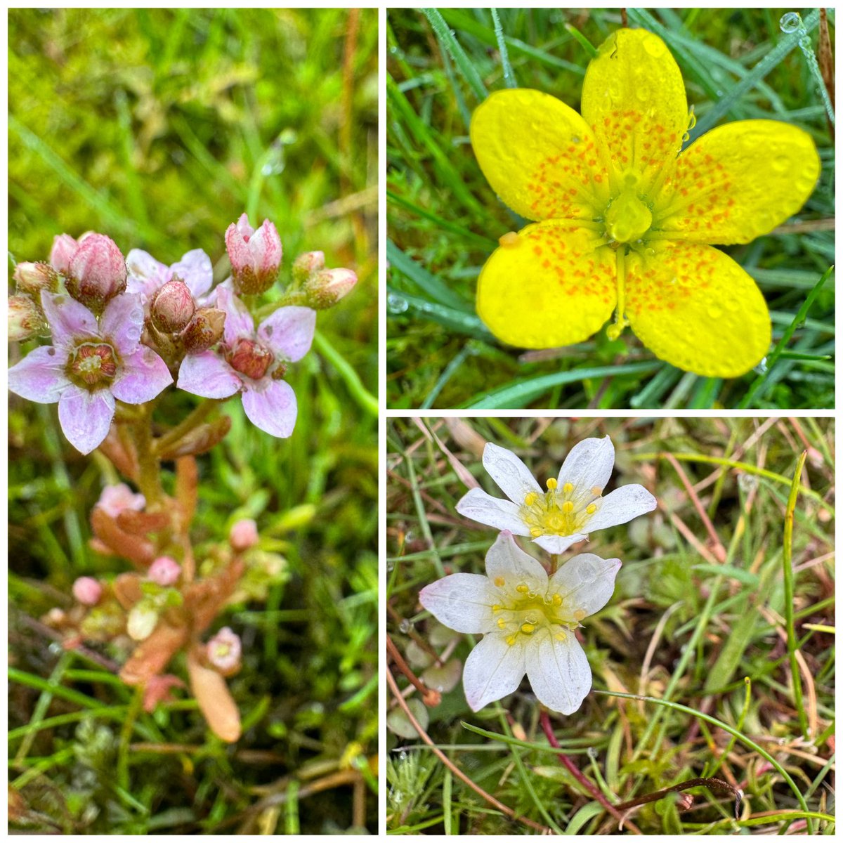 🍀dinesh patel 🦋 tweet media