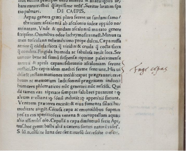 scilicet_'s tweet photo. As for the onions, Platina writes that they have many medical uses (including against poisons) but warding off miasma wasn’t one he listed. https://t.co/BqIR29G9Ux