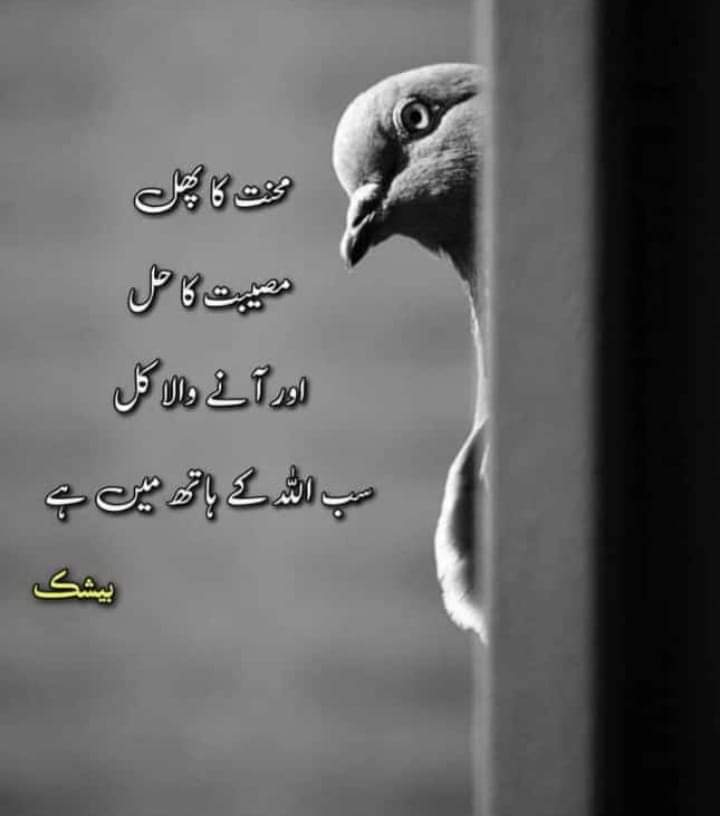 #السلام_عليكم_ورحمة_الله_وبركاته

#Good evening