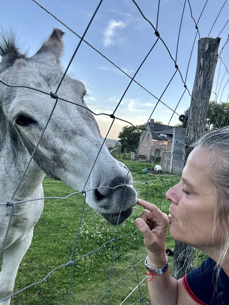 Mariana Becker tweet media