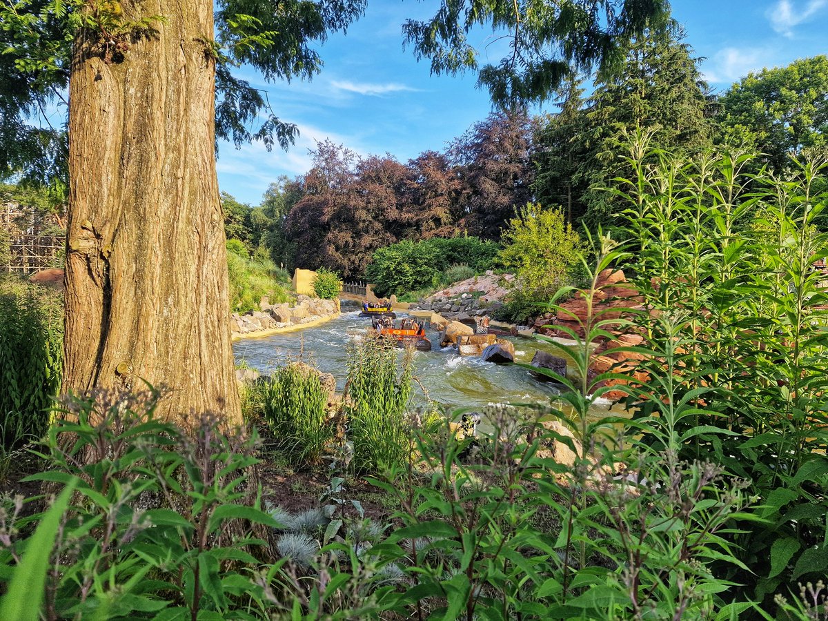 GeraldvZanten's tweet photo. #pirana #efteling #themepark #rapidriver https://t.co/xlBJmyHLWr