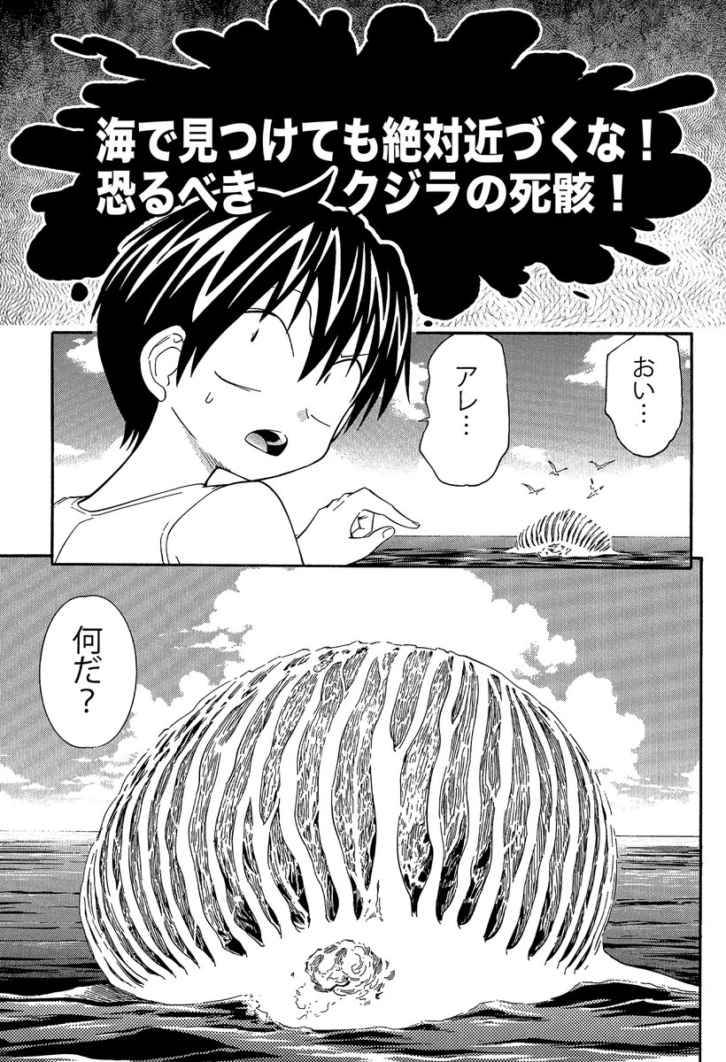 【海でクジラの死骸を見つけても近づかない方がいい…なぜなら…】(2/3) 
 海の毒生物や沖で遭遇するサメほど脅威ではありませんが一応知っておきましょう  
#生還図鑑 