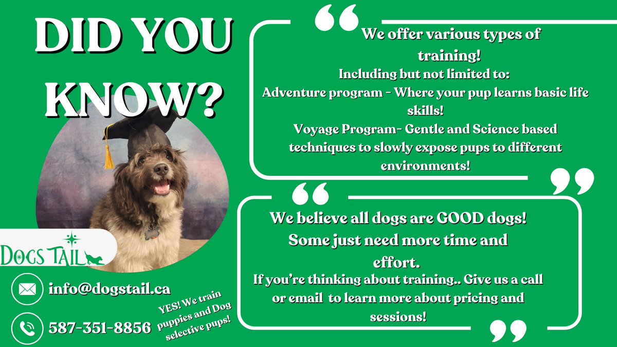 DogsTailinc's tweet photo. DID YOU KNOW?? https://t.co/1BJONe7qAI