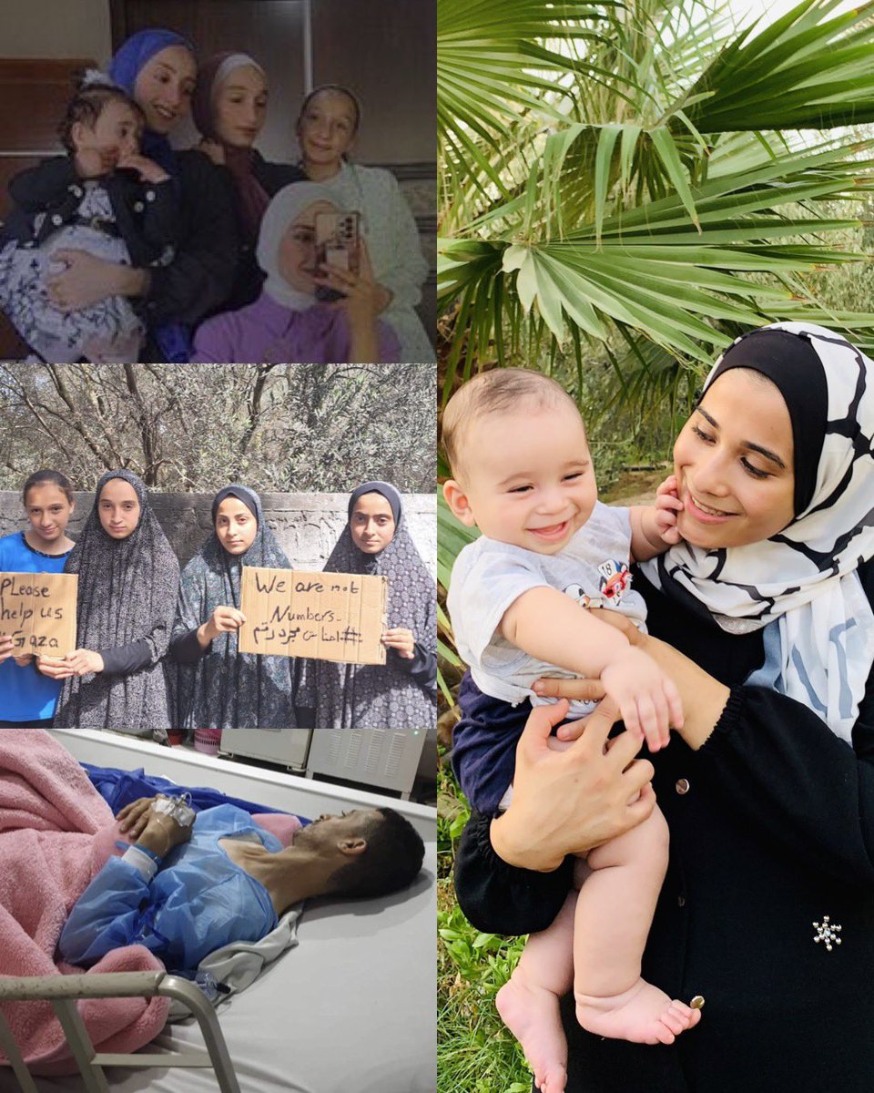 Nonoos84's tweet photo. Despite the increase in bombing and war, and my intense need for your help to get my family out this genocide, the help has stopped, and I am now in dire need of help before I lose one of them.
Share and donate please 🙏
https://t.co/q0AXwJ9TJZ https://t.co/Mp386O6tWp