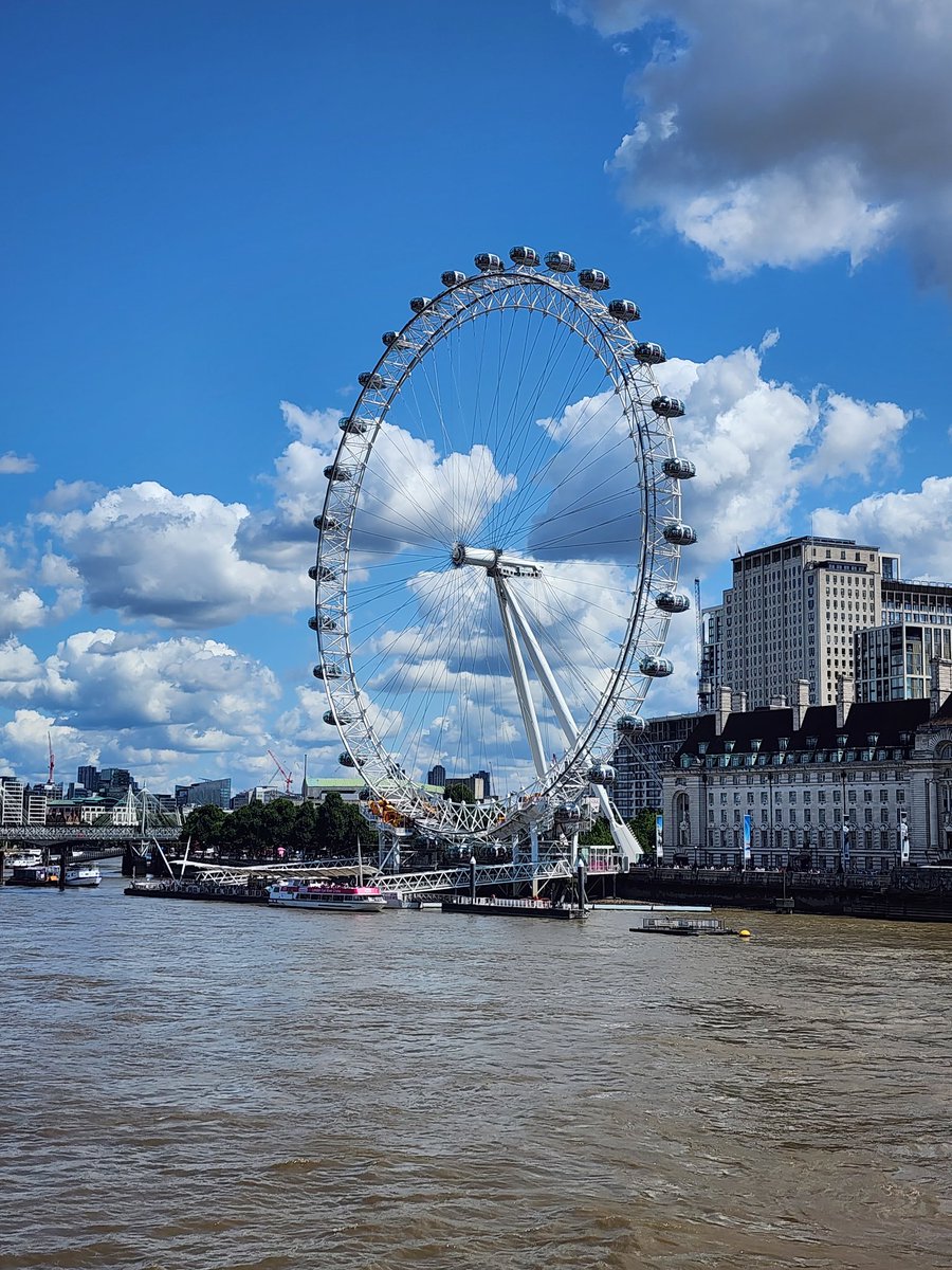 AzulBlueThing's tweet photo. One more trip to London this weekend as a birthday trip! Got to ride the eye, see Buckingham palace and the stables. 20000 steps we are dead. https://t.co/A8sjGeegKP