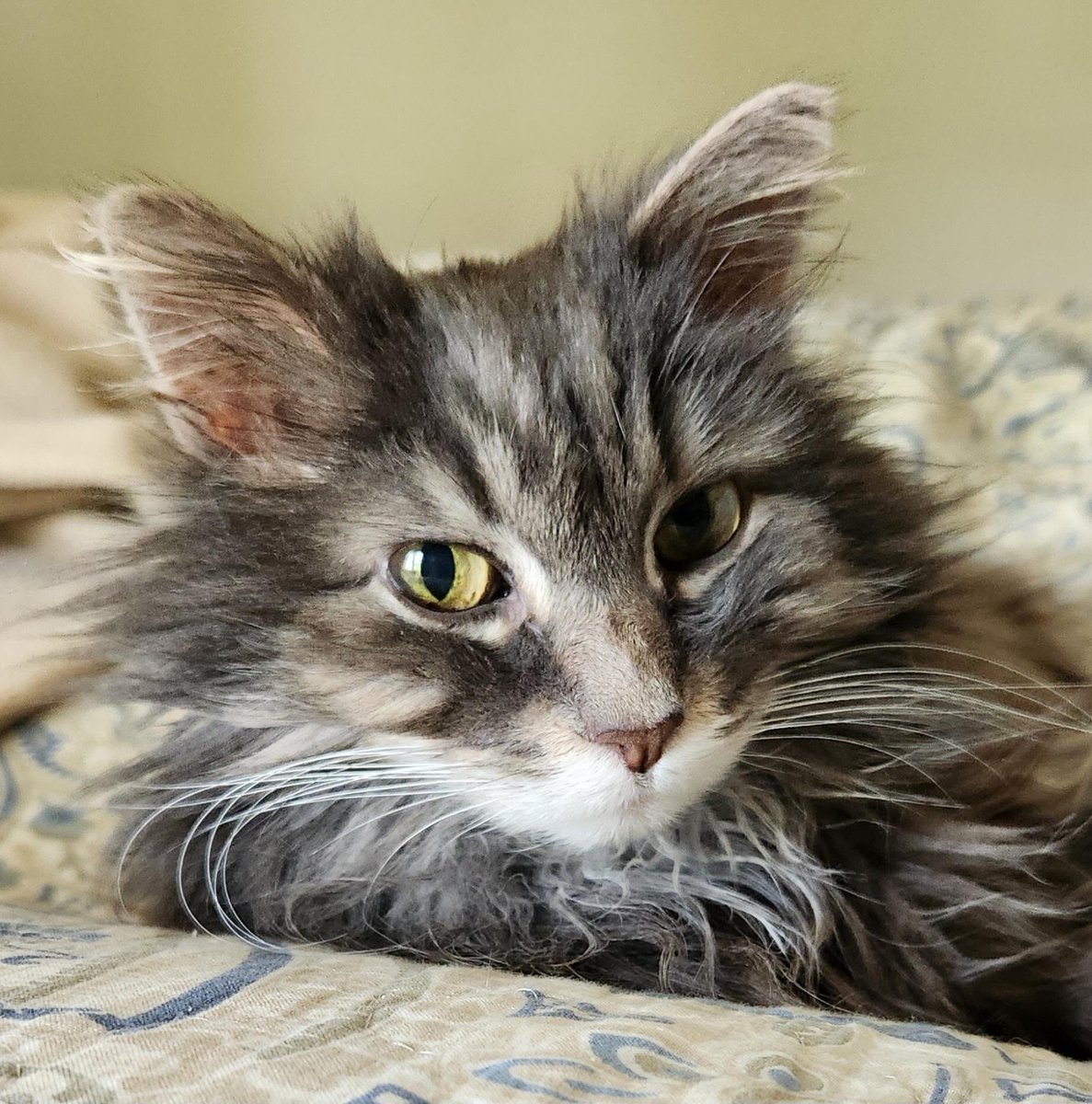 Beth Morton tweet media