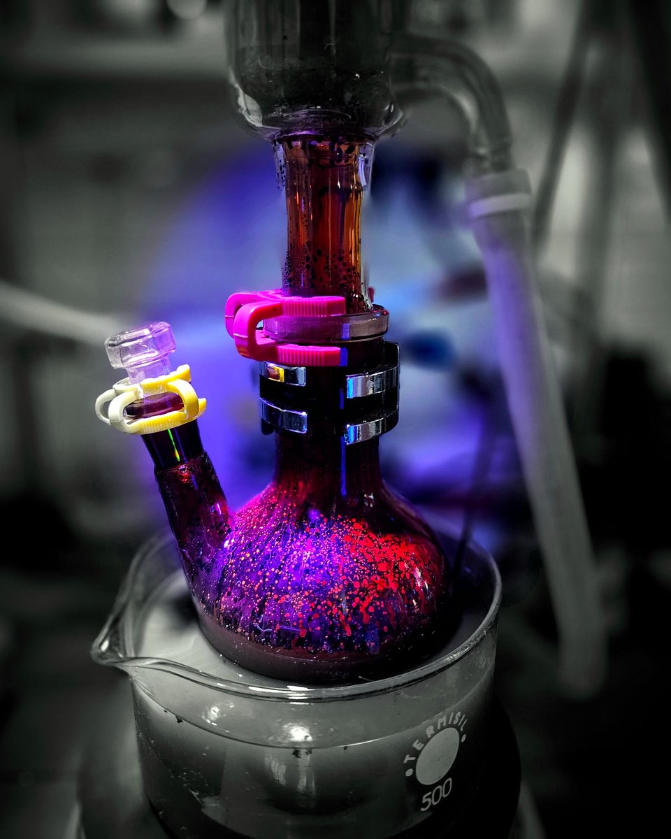 MajdeckiMaciek's tweet photo. Hell's Kitchen - Lab Edition 🔥 https://t.co/fMjd9JyCdP