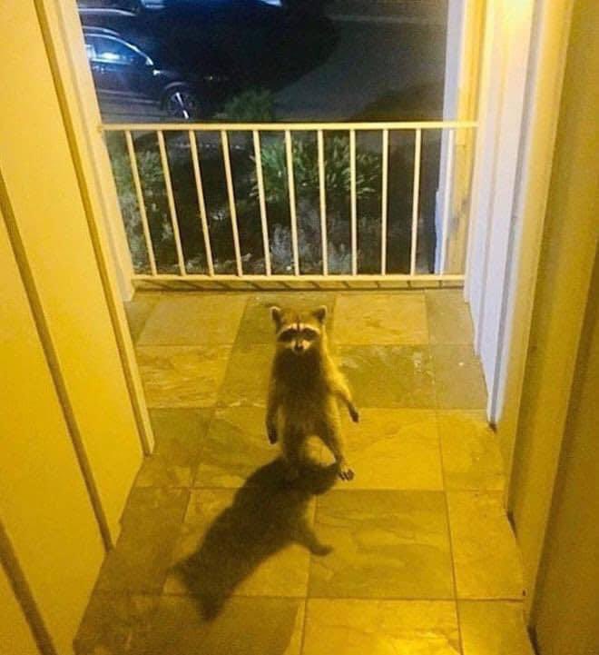 Elow’n devant chez Himra pour lui demander comment on fait drill