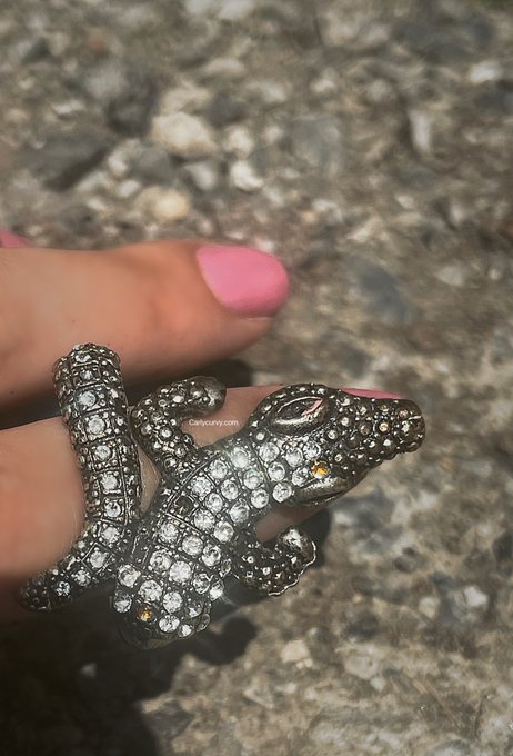 🐊 https://t.co/zmIB668cyY