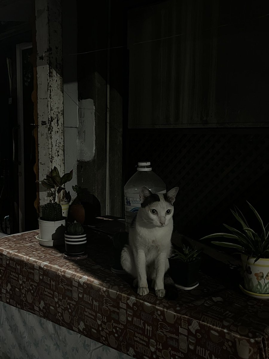 มาทำไรคนเดียวอ่า