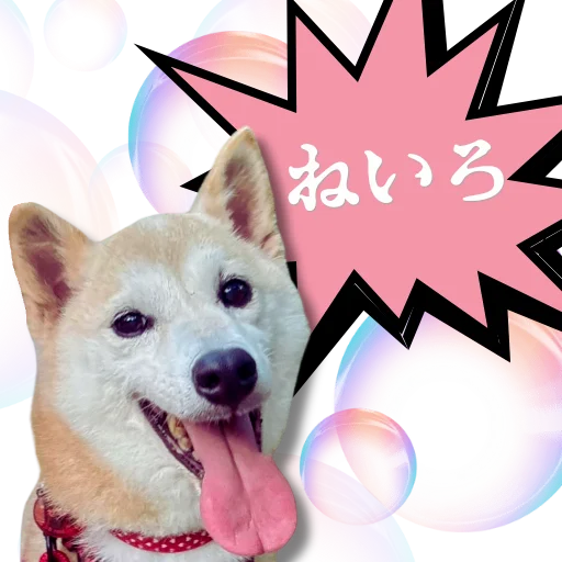 UsedB2Spirit's tweet photo. @CrypJunk @pumpdotfun @neirosolcto i can read https://t.co/iaH48fo4uX