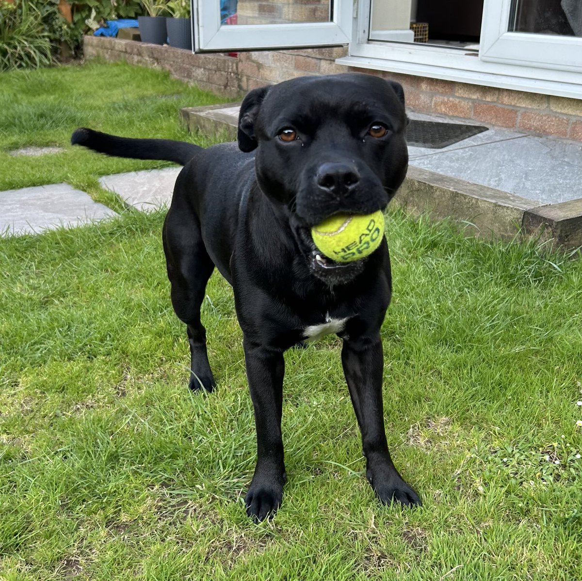 Baby Frank & his teddy, Edward 🧸🏴󠁧󠁢󠁷󠁬󠁳󠁿 tweet media