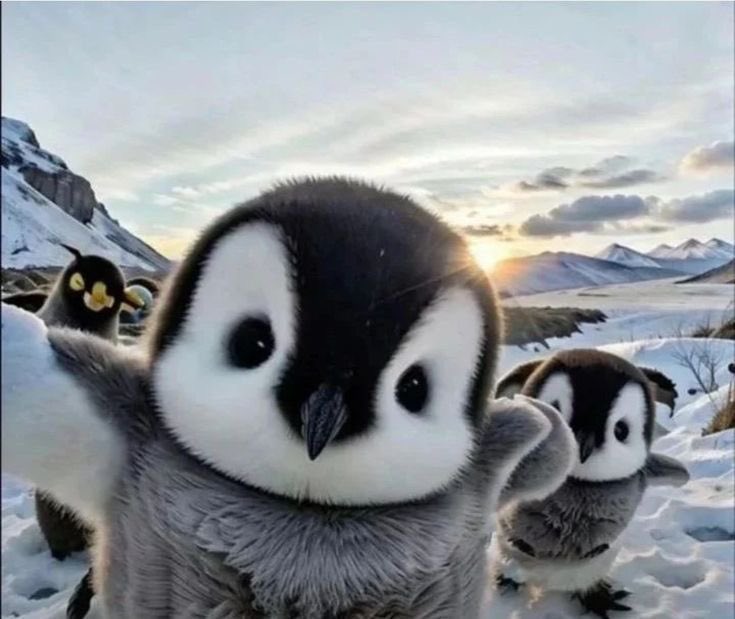 selfie