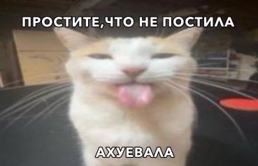 лунных снов