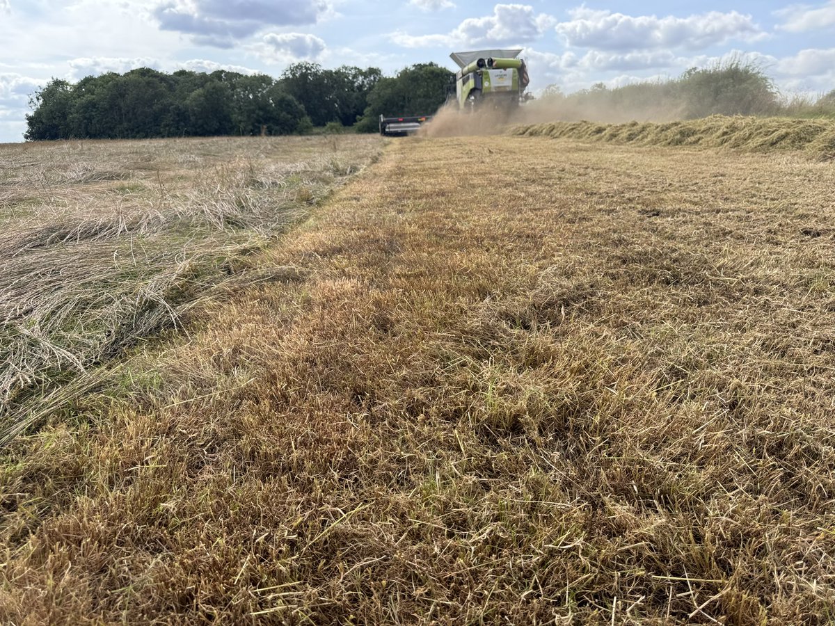 Tom Hawthorne tweet media