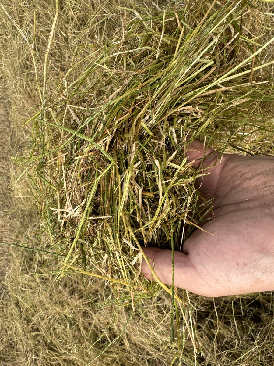 Tom Hawthorne tweet media