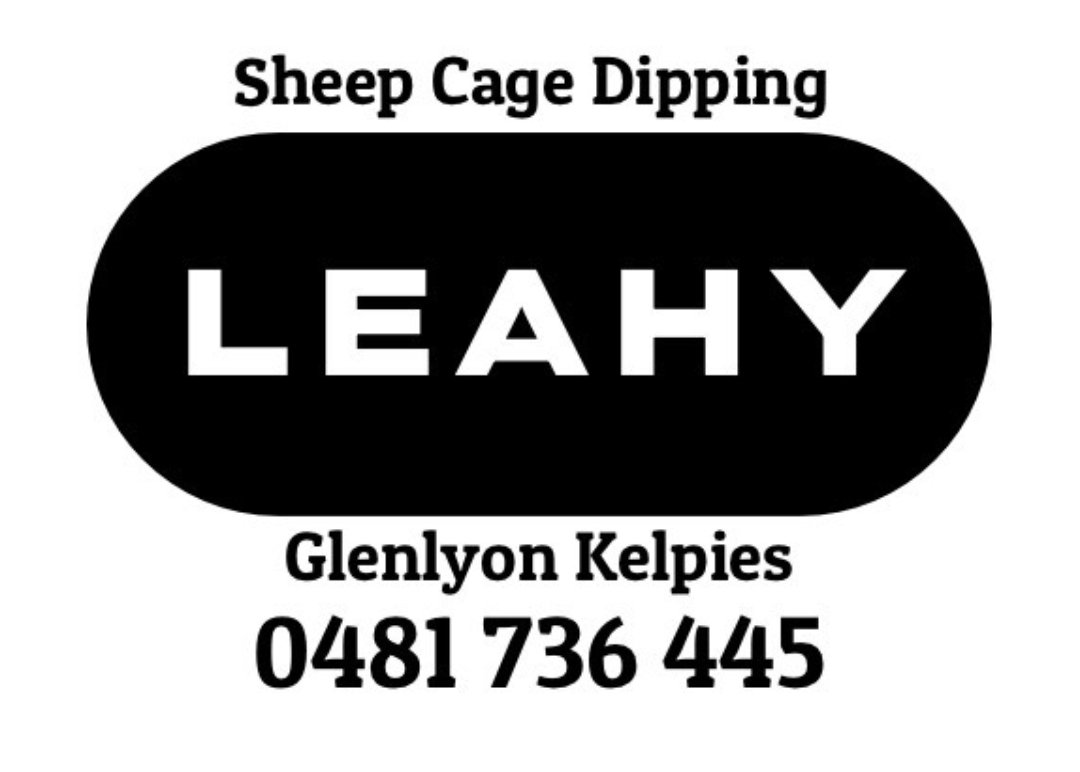 My young blokes new business. He loves killing lice. Euroa area and beyond.