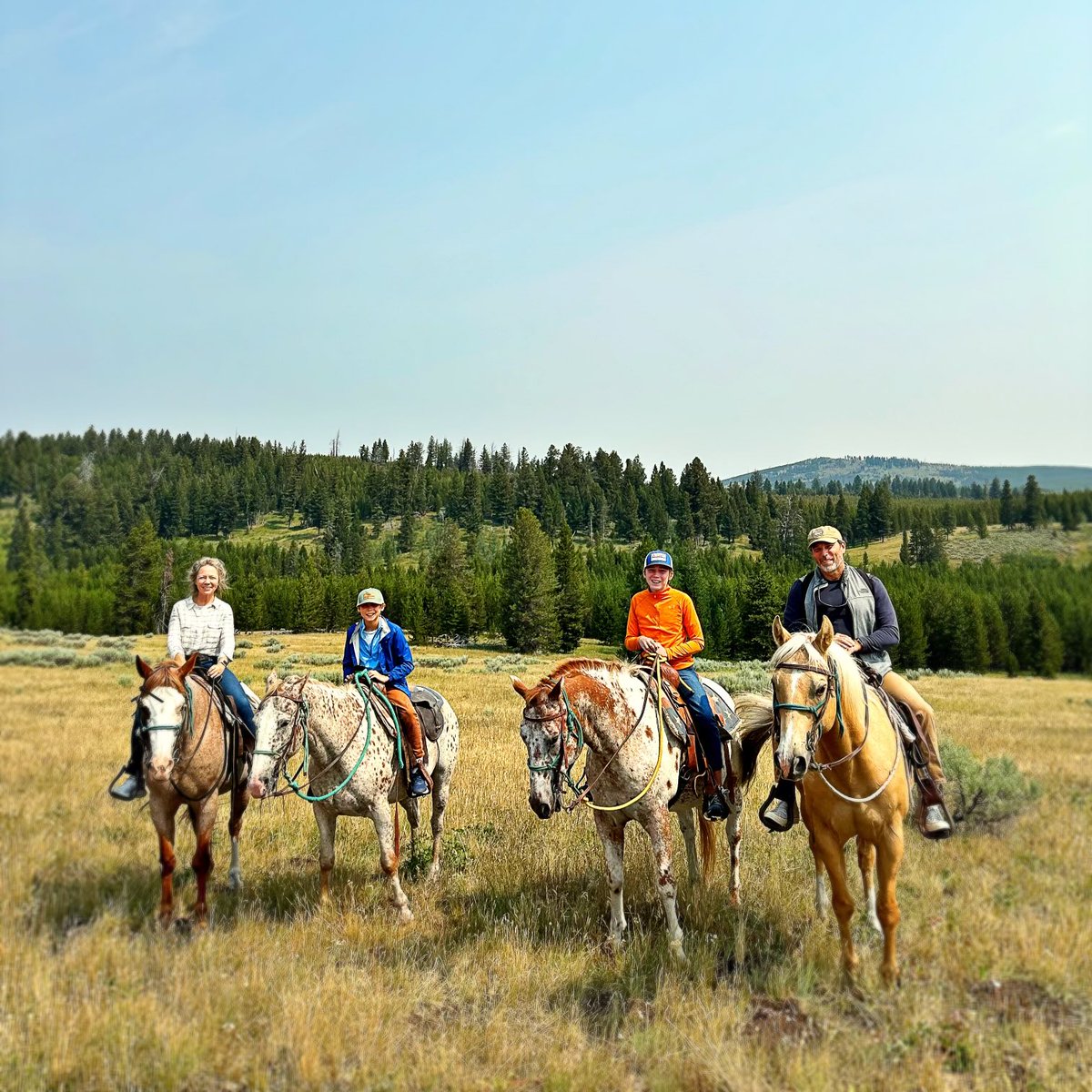 CoreTradingllc's tweet image. Keep the big city!  Life as it should be!