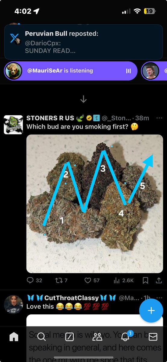 Ment4llyRegrded's tweet image. I’m starting to see #ElliotWaveTheory everywhere now. I think I’m starting to get it.. thanks @DragonTraderZ 😂😂