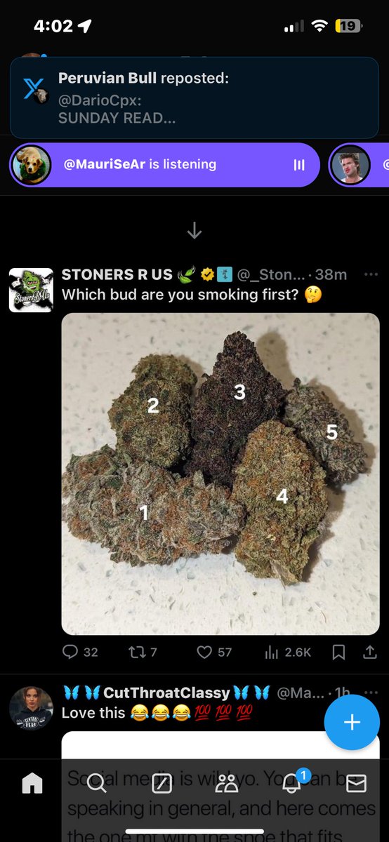 Ment4llyRegrded's tweet image. I’m starting to see #ElliotWaveTheory everywhere now. I think I’m starting to get it.. thanks @DragonTraderZ 😂😂