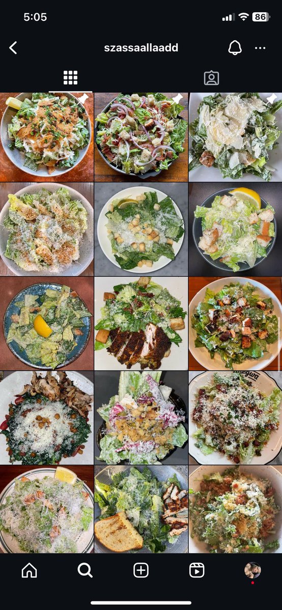 y’all my friend’s sister has an account called sza salad where she just goes around reviewing Caesar salads and I’m honestly and truly impressed