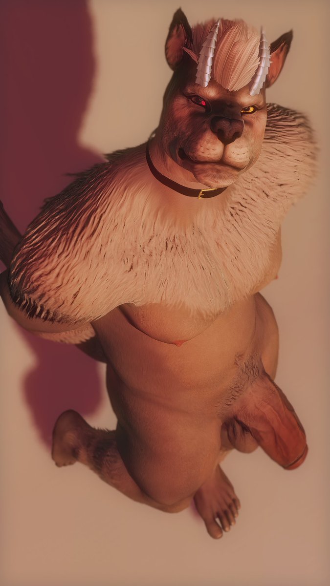 JustCallMeBark's tweet photo. (alt) He'll get on his knees, just ask https://t.co/3yq1lPBfSL